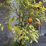 Apartmán Casa Pg Stresa