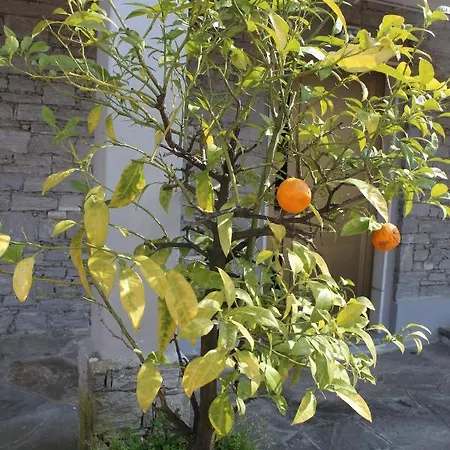 شقة Casa Pg ستريزا